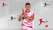 Well Done Applause GIF by Bundesliga