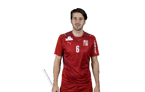 Celebrating Sticker by Český florbal