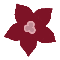 Blume Sticker by SalzburgMilch