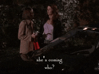season 4 netflix GIF by Gilmore Girls 