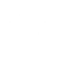 Voting 2020 Election Sticker by MSNBC