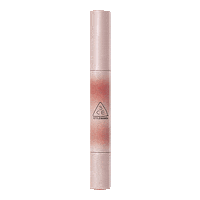Makeup Lip Sticker by 3CE Stylenanda