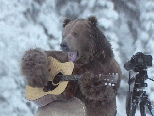Bear Guitar GIF