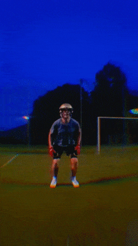 CarnuntumLegionaries football catch american football legionaries GIF