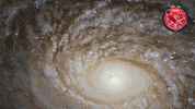GIF by ESA/Hubble Space Telescope