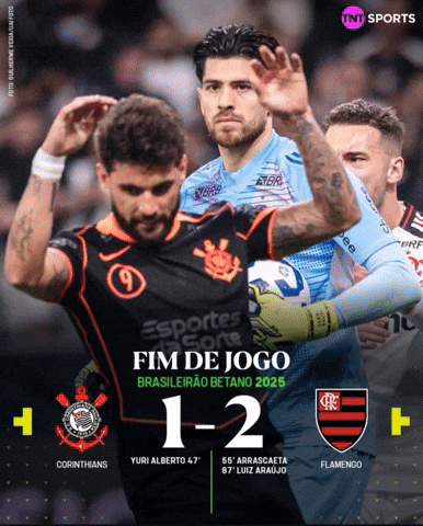 Flamengo Vs Corinthians GIF
