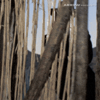 Cult Film Gotcha GIF by Arrow Video