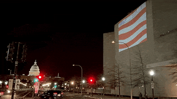 Voting Rights Projection GIF by Creative Courage
