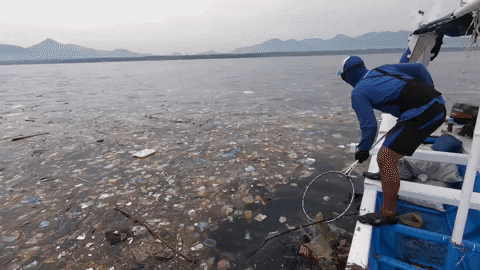 Earth Day GIF by 4ocean
