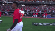 Walk Off Win GIF by MLB