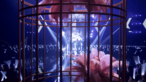 Themaskedsinger GIF by Reality Club FOX