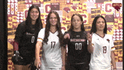Cuc GIF by CUCougars