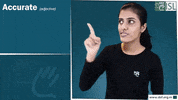 Sign Language GIF by ISL Connect