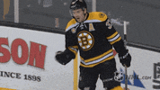 Ice Hockey Hug GIF by NHL