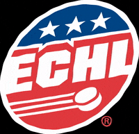 ECHLhockey hockey echl GIF