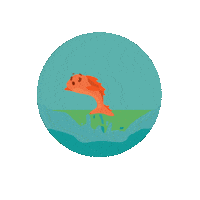 LioxFoundation star fish liox foundation liox Sticker