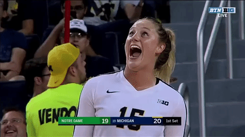 wow michigan volleyball GIF by Michigan Athletics