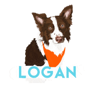 ponspetsupplies dog logan petshop ponspetsupplies Sticker
