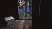 GIF by Gorillaz
