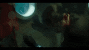 Shark Movie GIF by Signature Entertainment