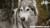 GIF by Keep Britain Tidy