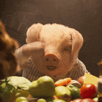 Rose Byrne What GIF by Peter Rabbit Movie