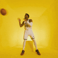 Donovan Mitchell Sport GIF by Utah Jazz