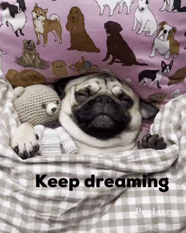 Mood Sleeping GIF