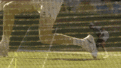 Sport Tennis GIF by Wimbledon