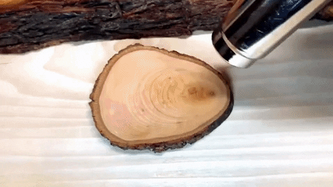 jeremiaholsen giphygifmaker GIF