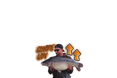 swipeup Sticker by FoxInt