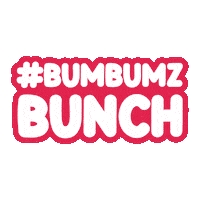 Bumbumzofficial Sticker by BumBumz