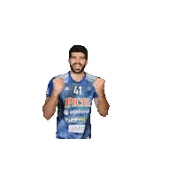 Szeged Yes Sticker by Pickhandball