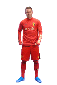 ingbelgium celebration goal well done eden Sticker