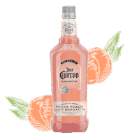 happy hour party Sticker by Jose Cuervo