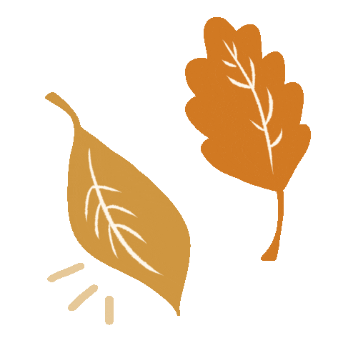 Apple Cider Fall Sticker by Kelsey Davis