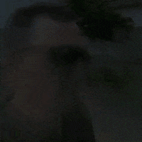 Take Me Home Sunglasses GIF by KPISS.FM