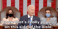 Joe Biden GIF by GIPHY News