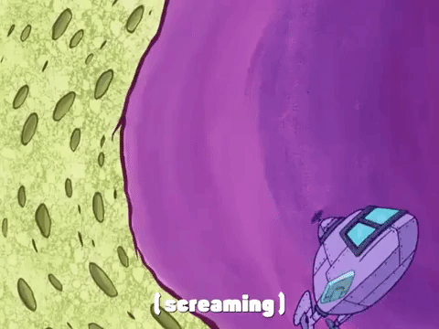 season 4 GIF by SpongeBob SquarePants