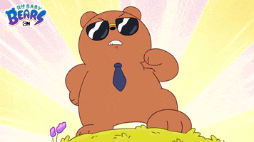 Ice Bear Sunglasses GIF by Cartoon Network