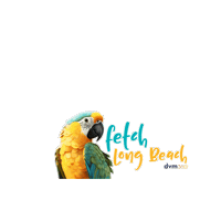 dvm360  Sticker