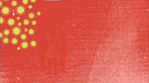 DNoticias giphyupload GIF