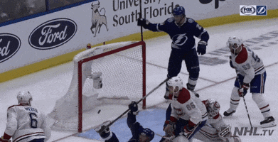 happy ice hockey GIF by NHL