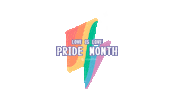 LSY031 love rainbow proud lightning Sticker