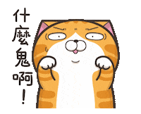 cat wtf Sticker by MochiDad