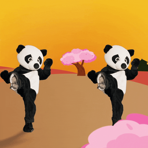 Panda Kungfu GIF by Sony Music Belgium