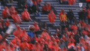 Football Celebration GIF by Pac-12 Network