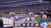 New York Giants Football GIF by NFL
