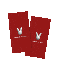 Happy Chinese New Year Sticker by CHARLES & KEITH