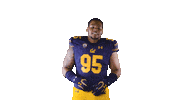 Uc Berkeley Go Bears Sticker by Cal Athletics